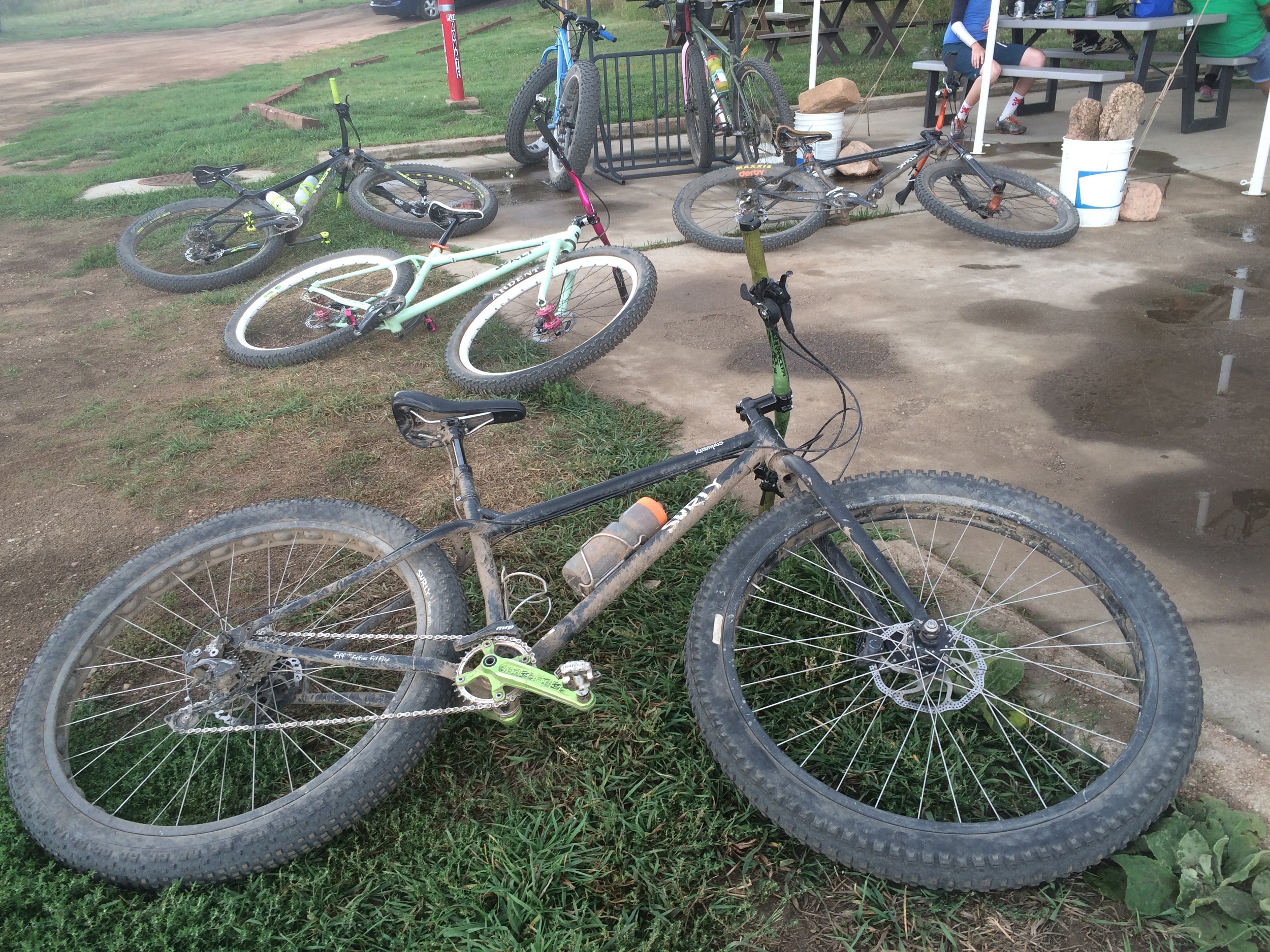 curly's custom cycles