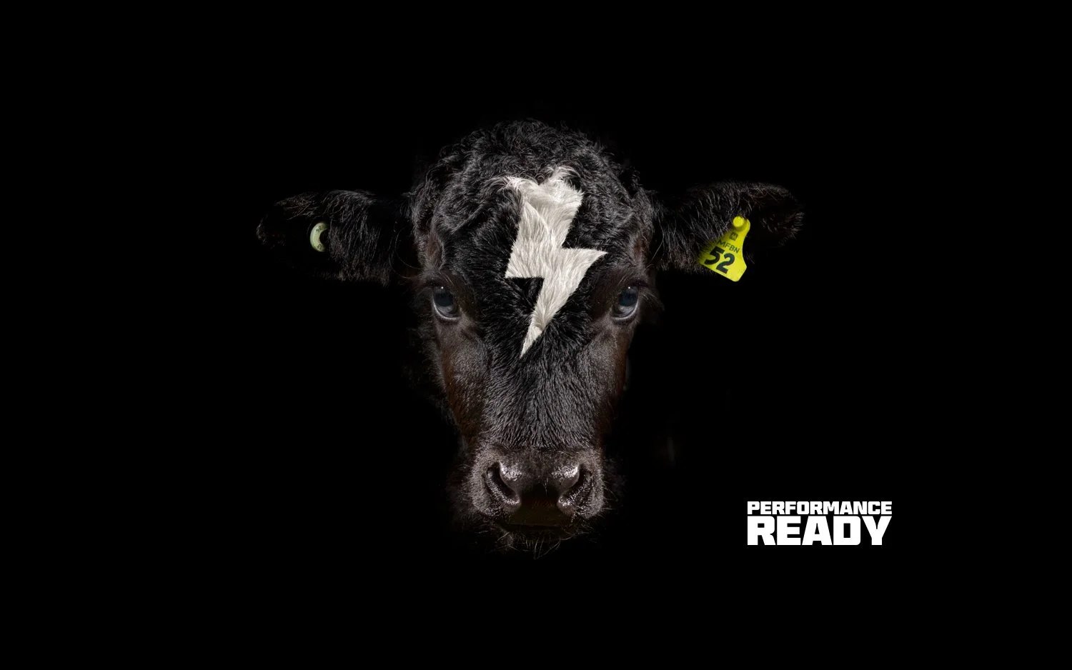 Virbac - performance ready.jpg