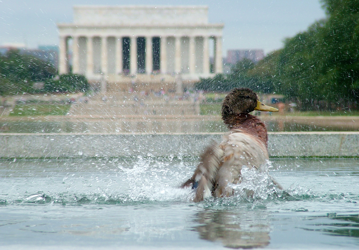 Photography Lessons & Walks