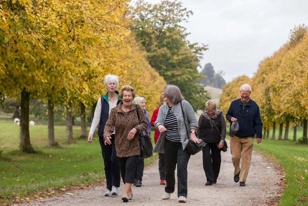 A group of elderly people walking and chatting along a path through a park with yellow autumn trees.