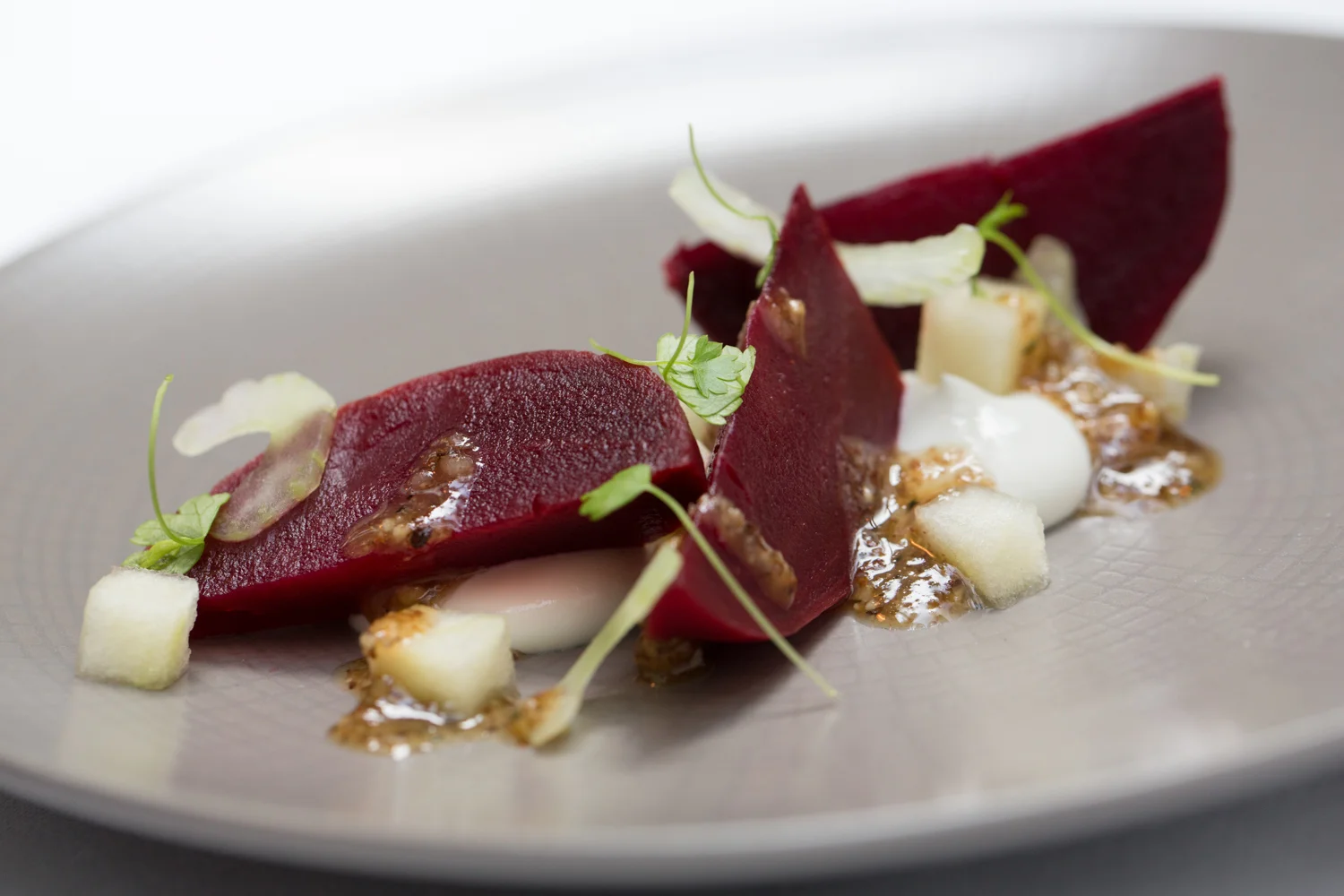 Plated dish with sliced roasted beets, diced apples, dollops of white sauce, microgreens, and a drizzle of sauce on a gray textured plate