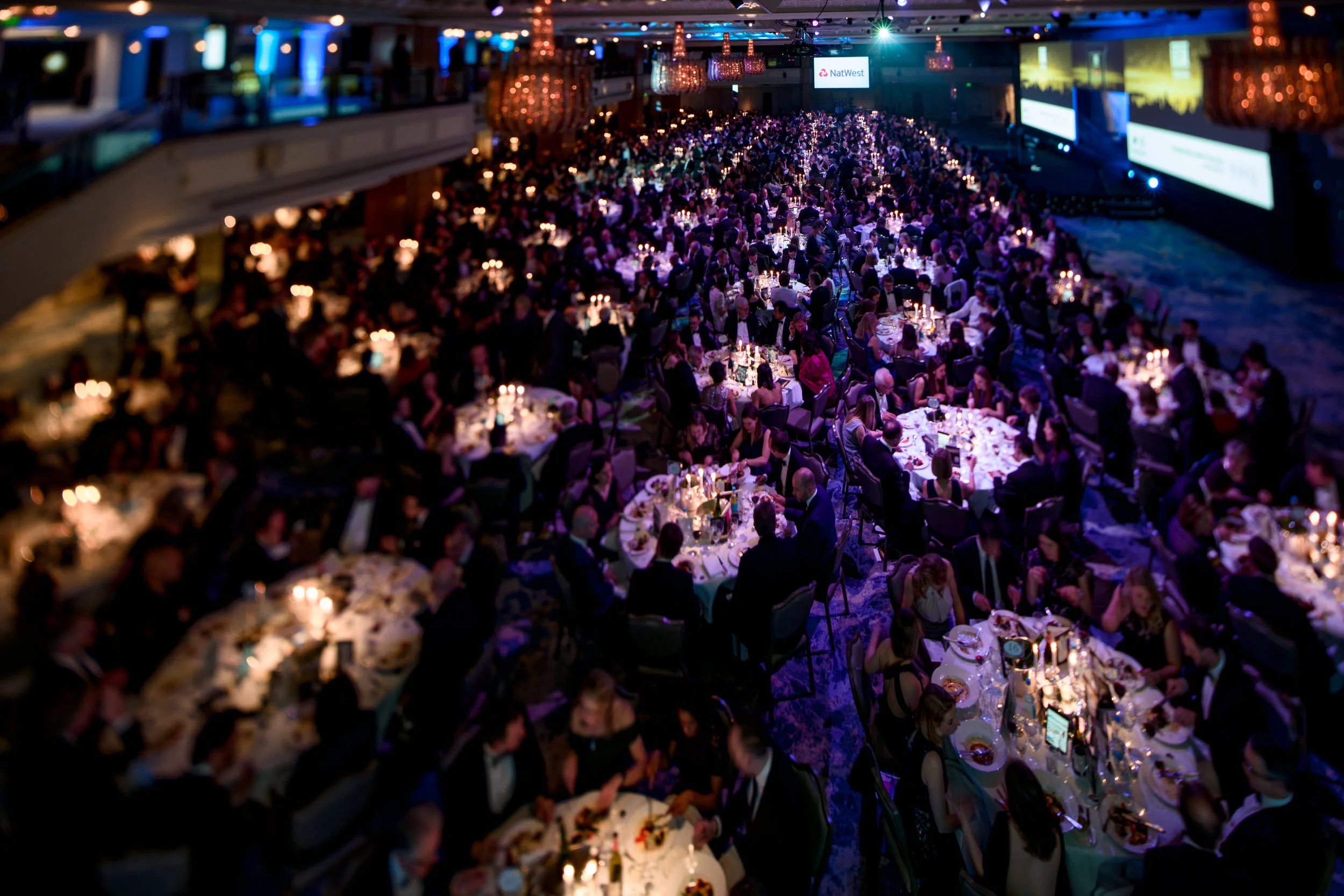 1000 Lawyers In A Room