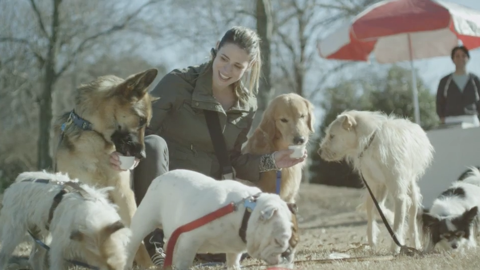 Screen Shot 2016-08-09 at 3.46.13 PM.png