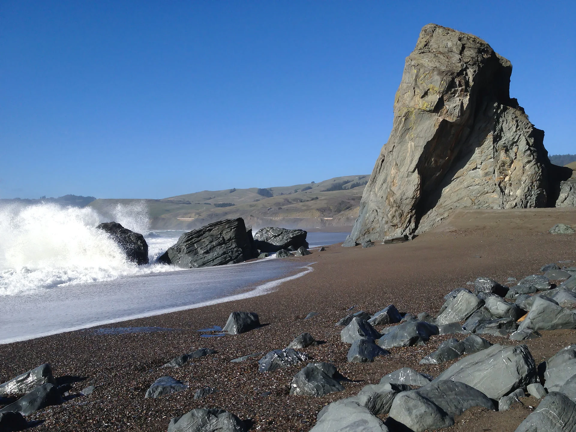 goat rock eco.jpg