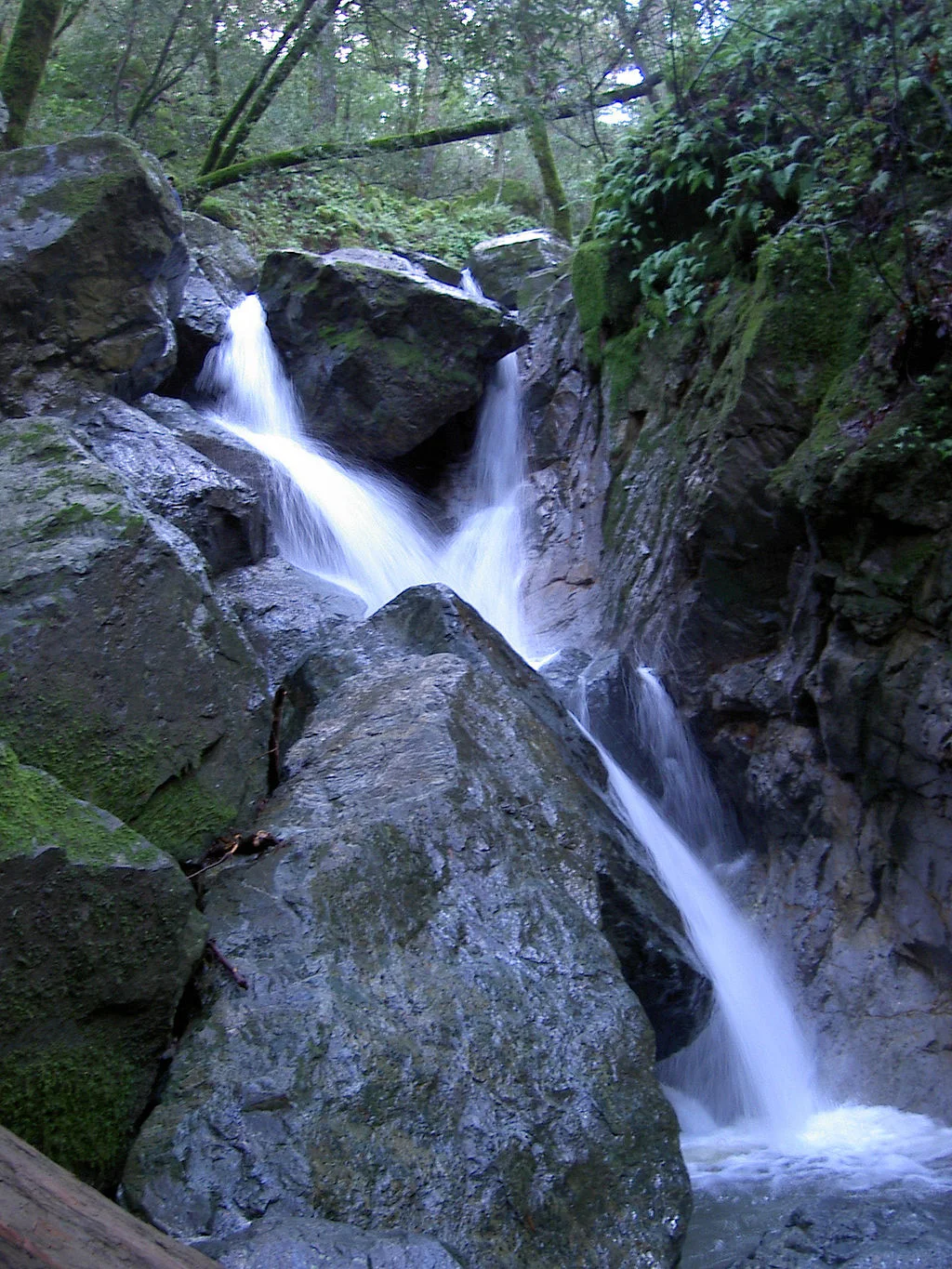 sugarloaf waterfall eco.jpg