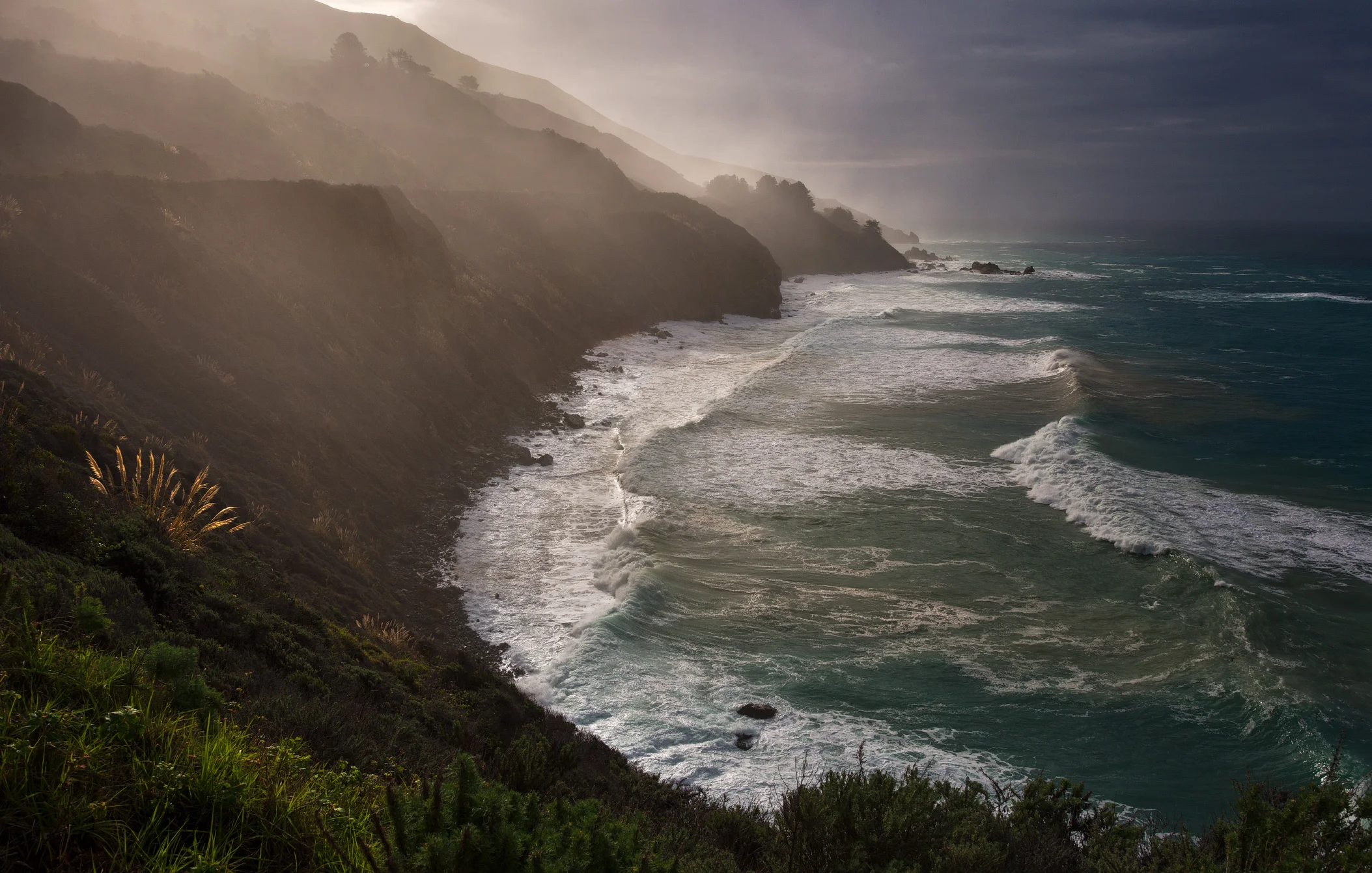 Wildlight