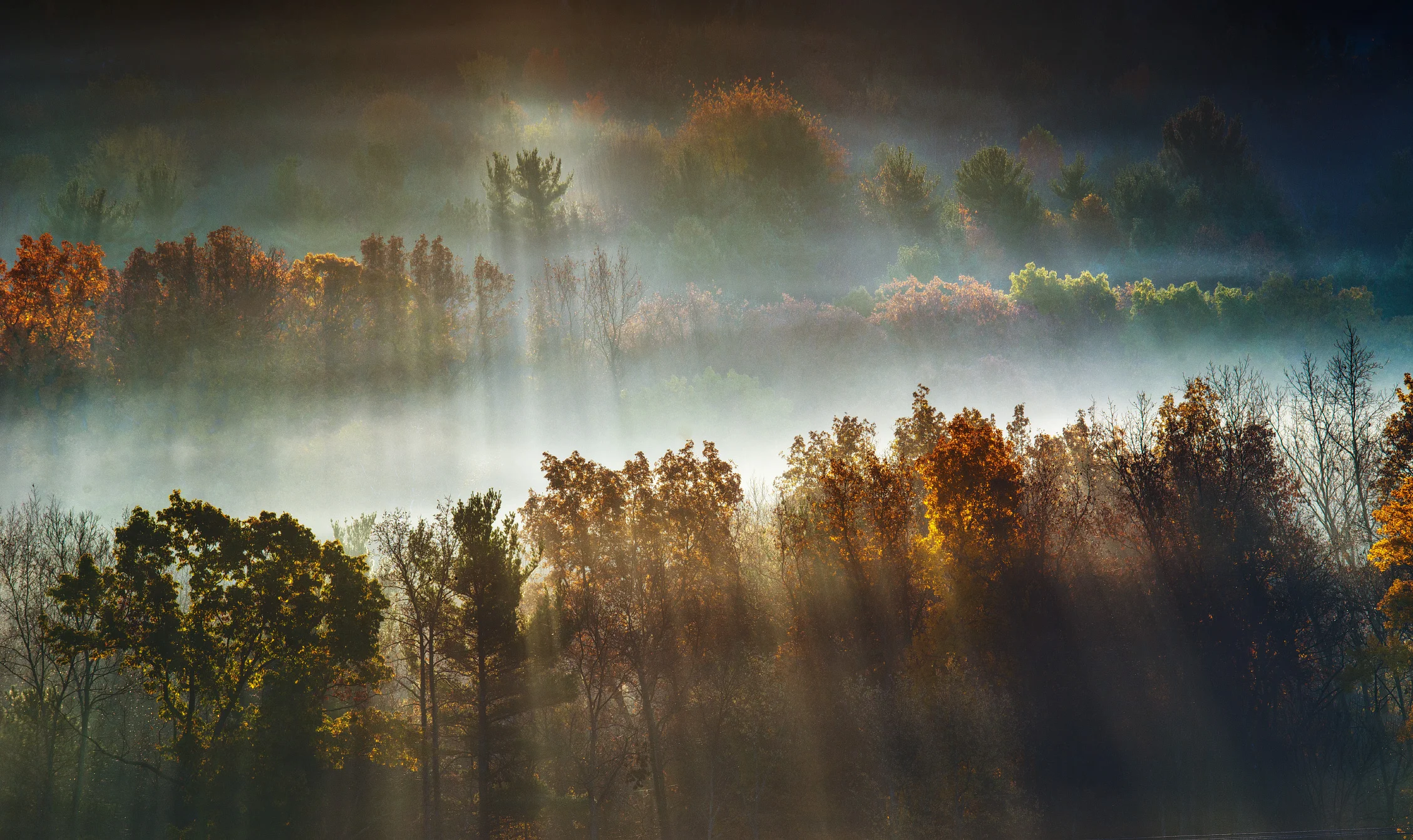 Fall in the Valley
