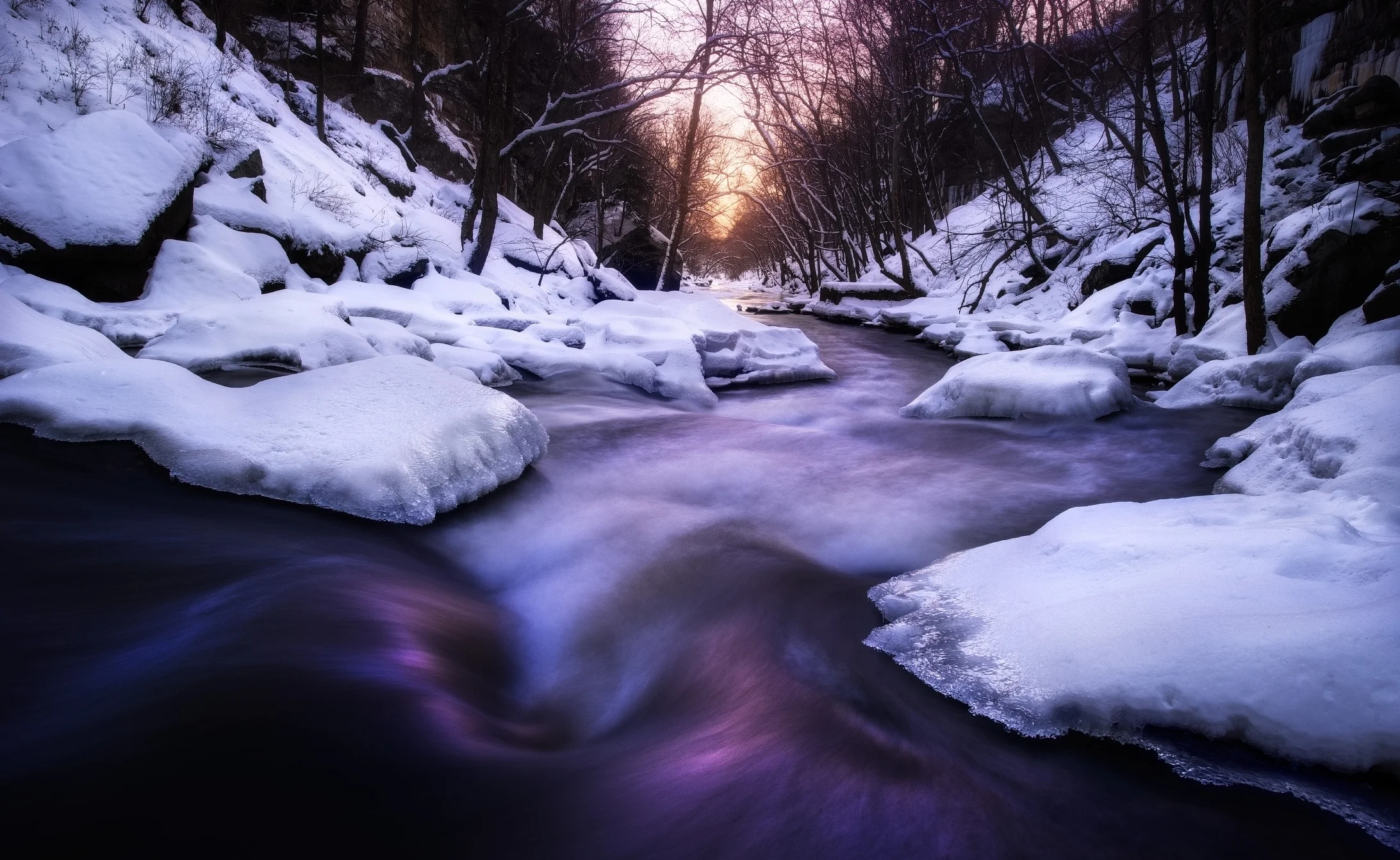 Cold Rush