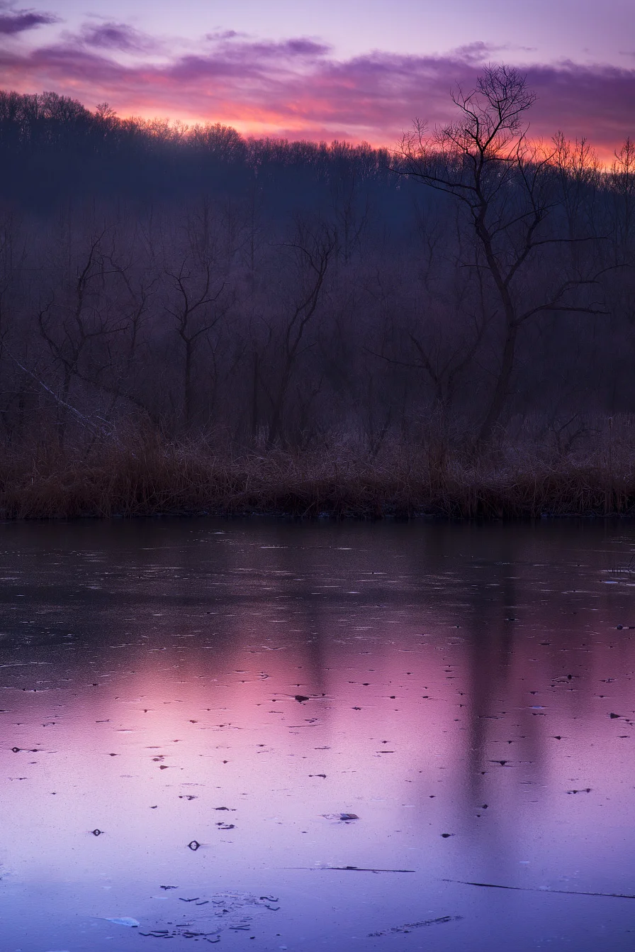 Winterspell