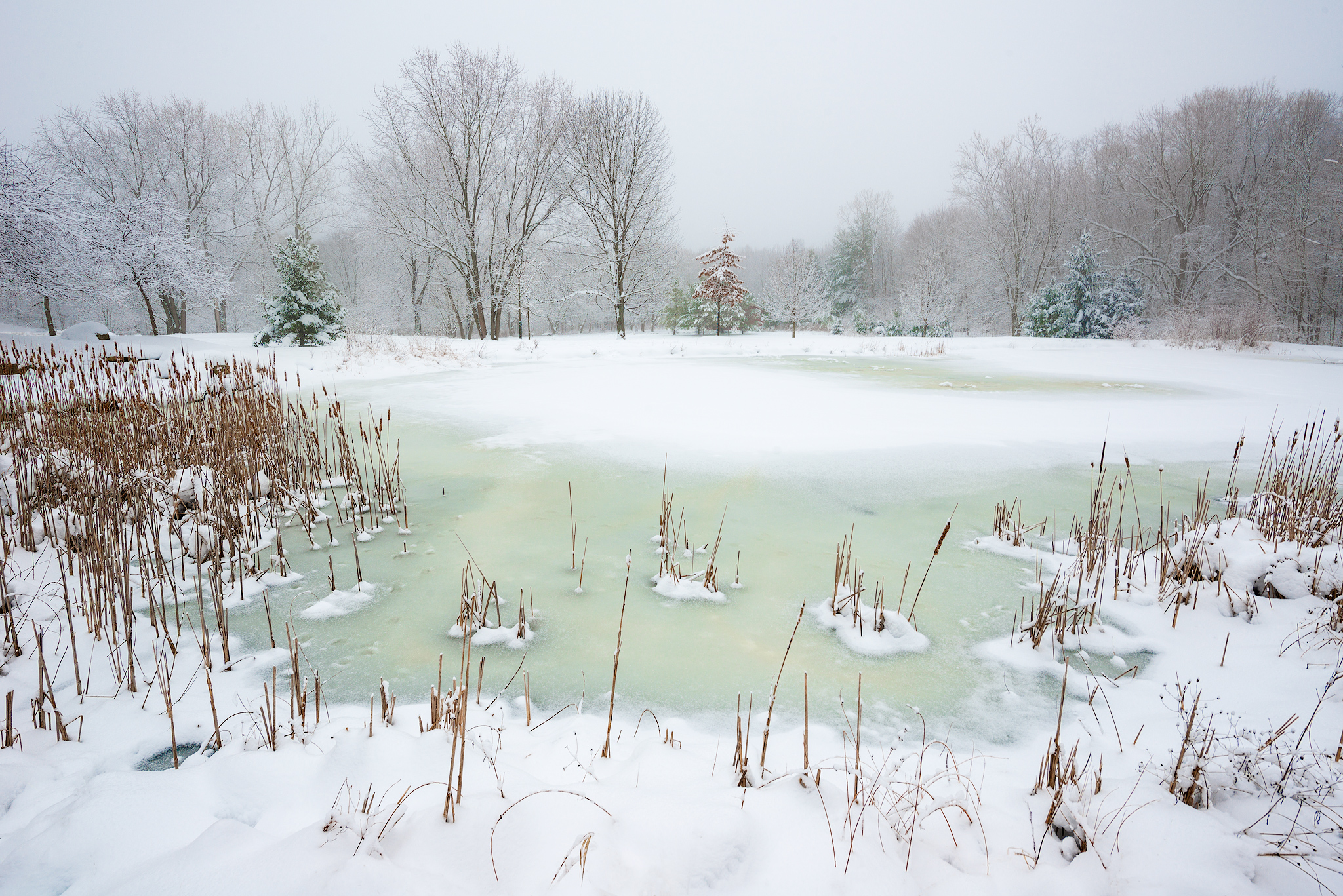 Cold Spell