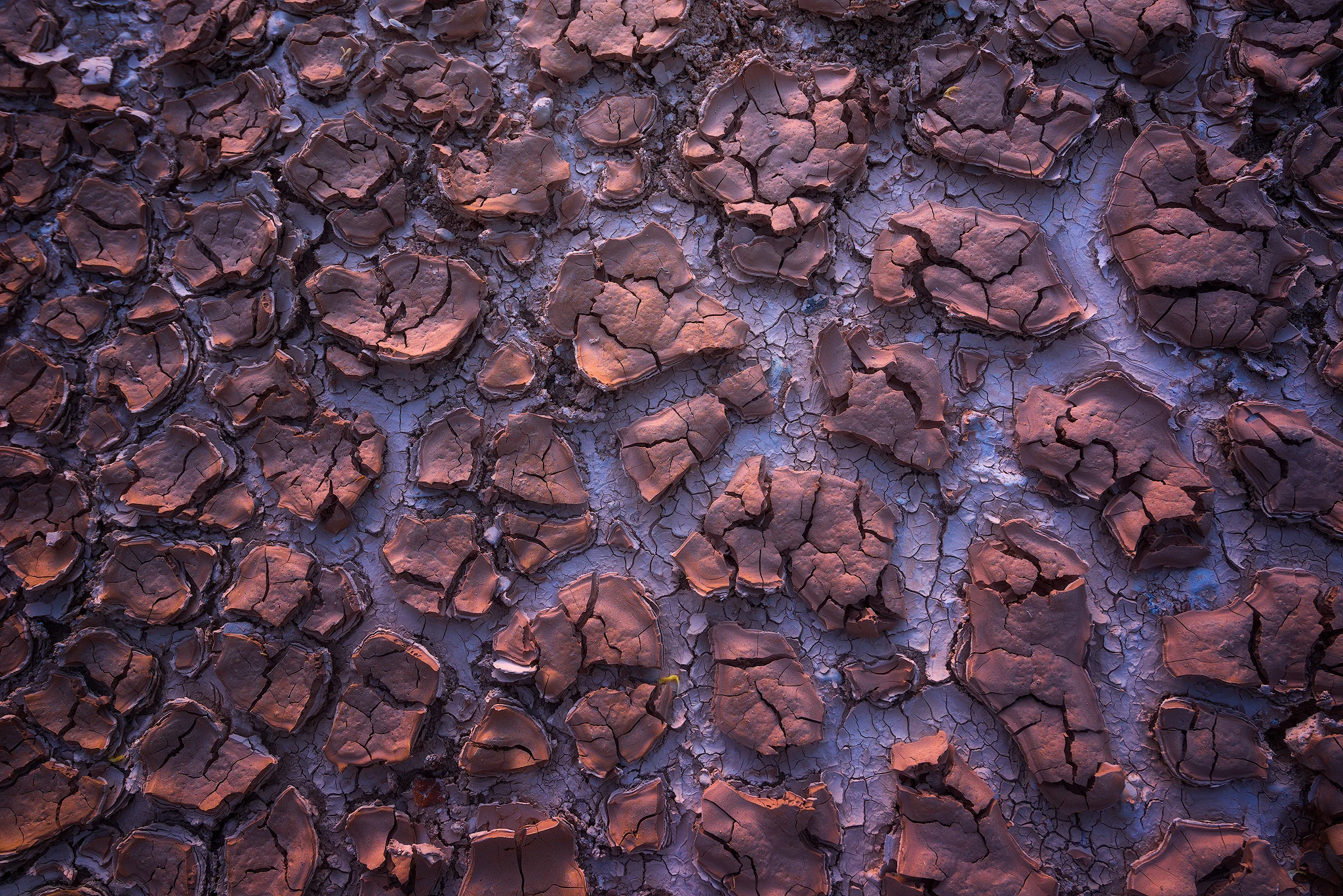 Parched Puzzle