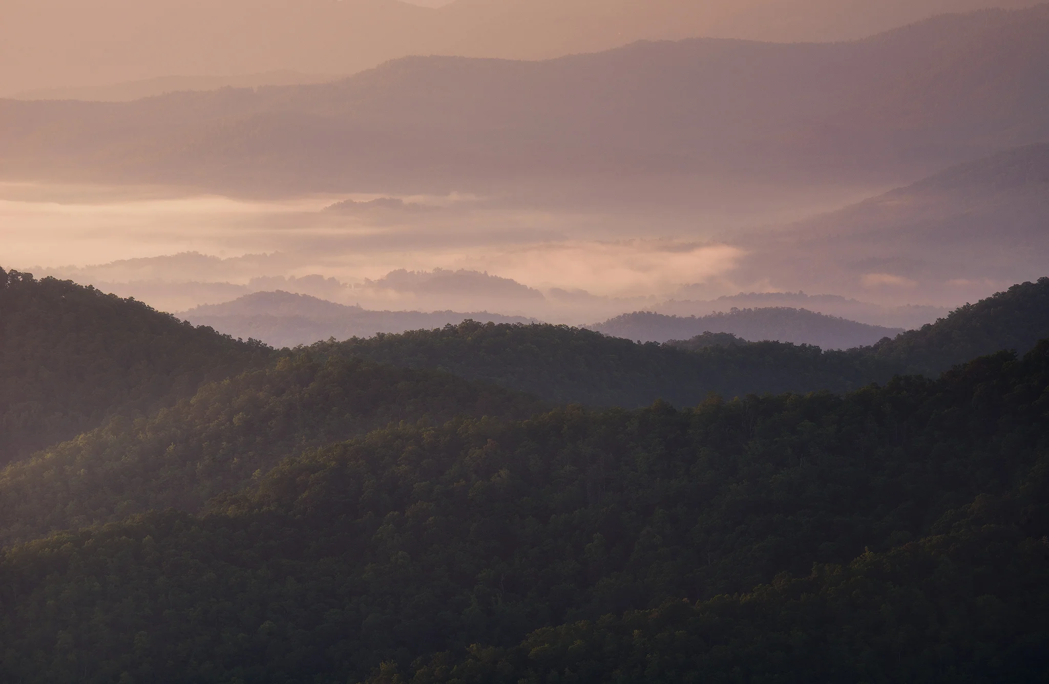 Silken Hills
