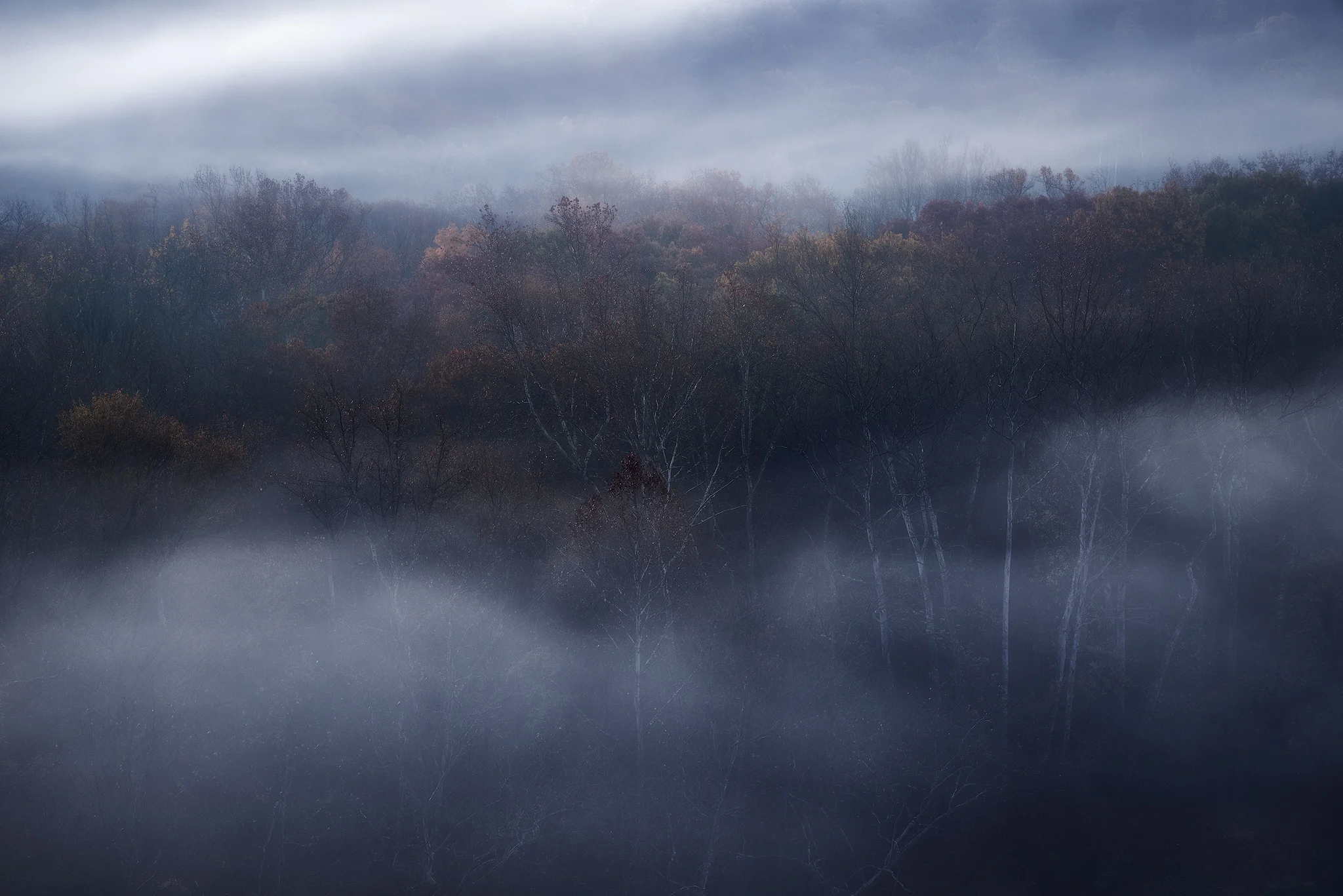 Vapor Trails