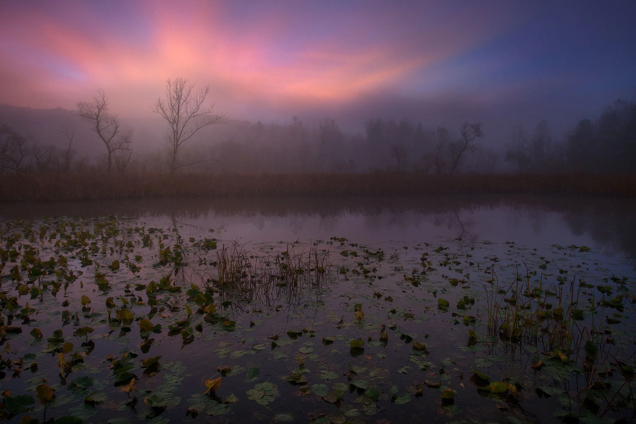 Painted Pond