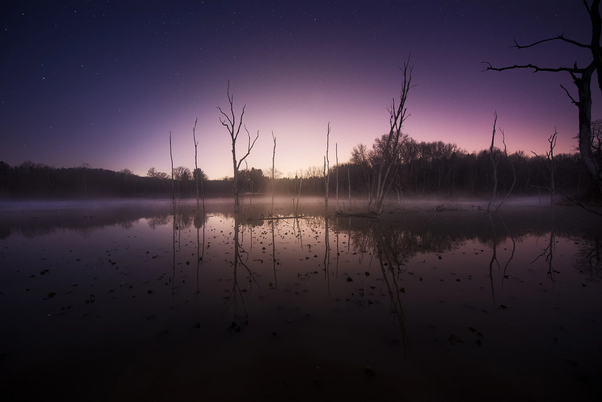Nocturne in CVNP