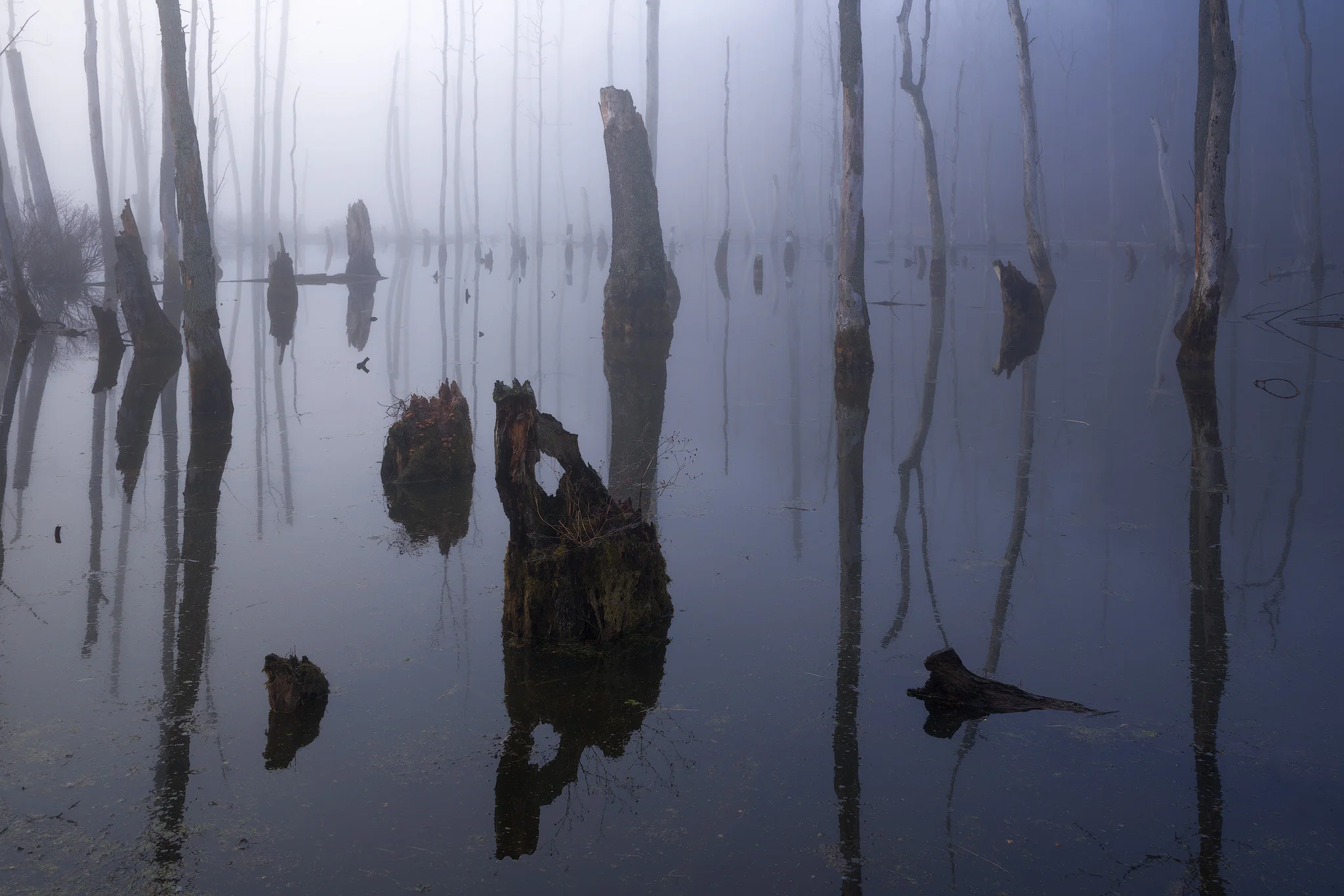 Dagobah