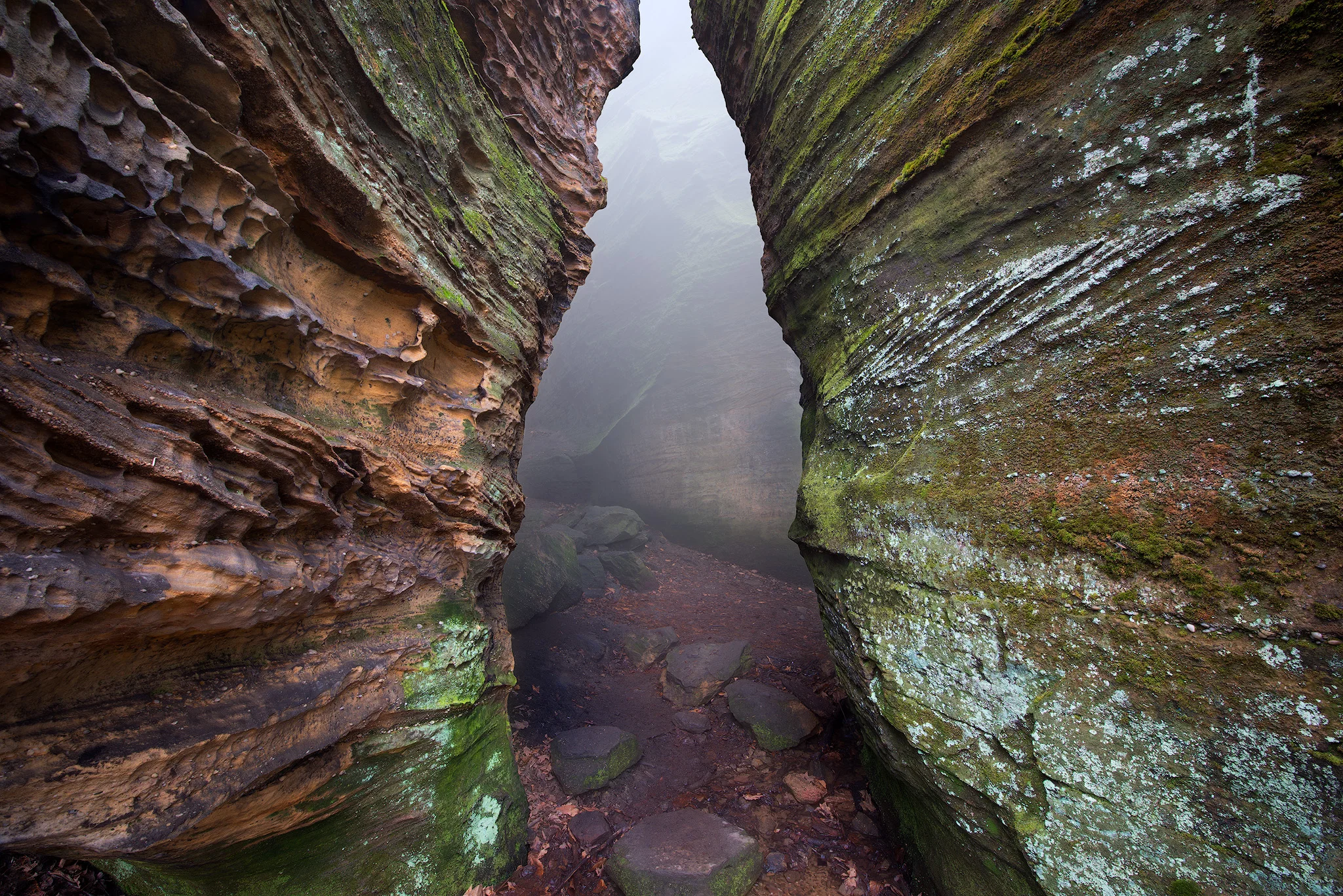 Dramatic Entrance