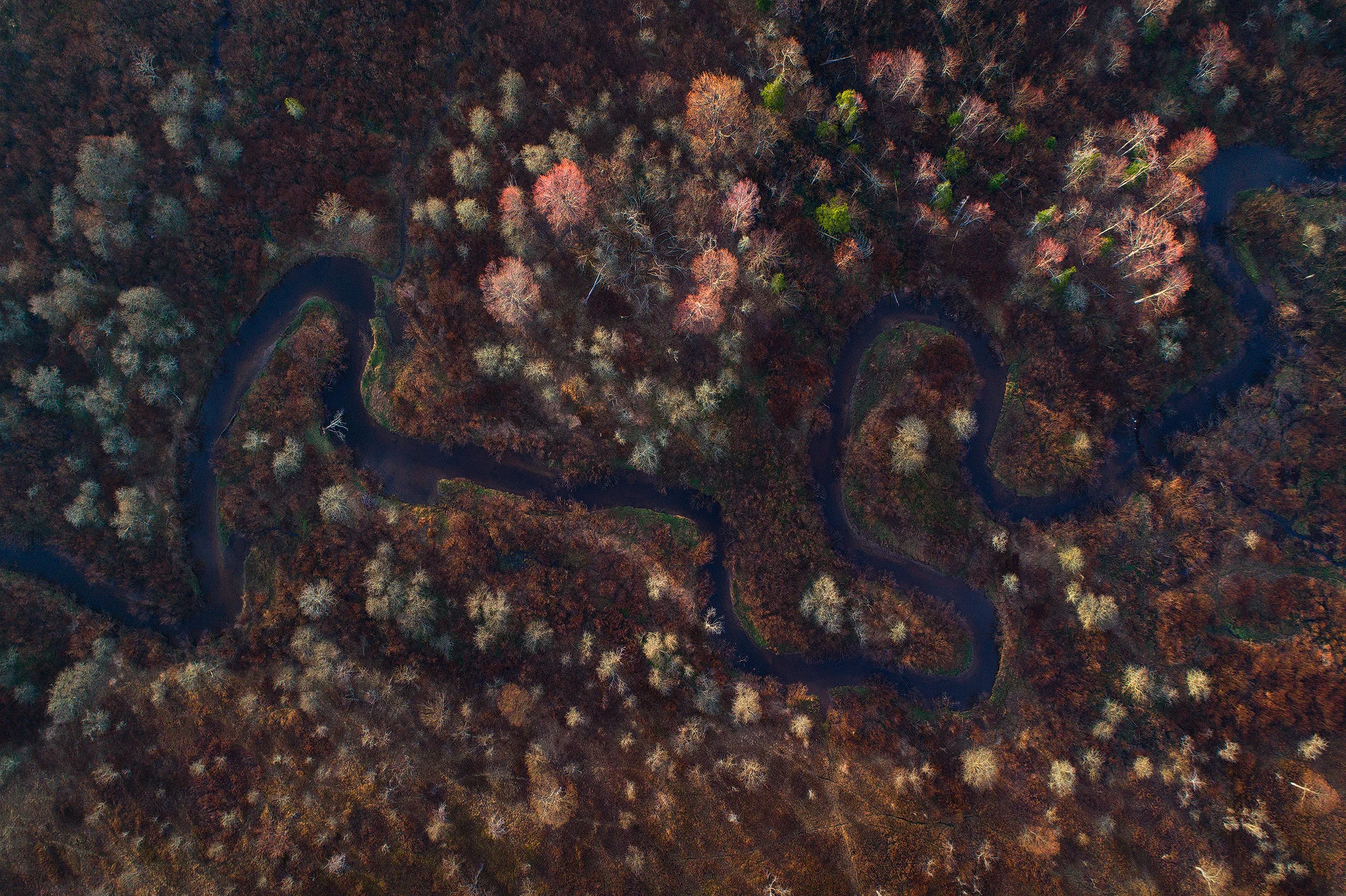 Earth Serpent