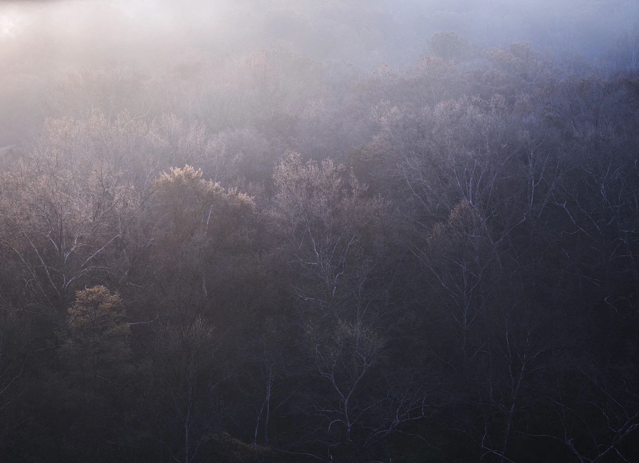 Solstice