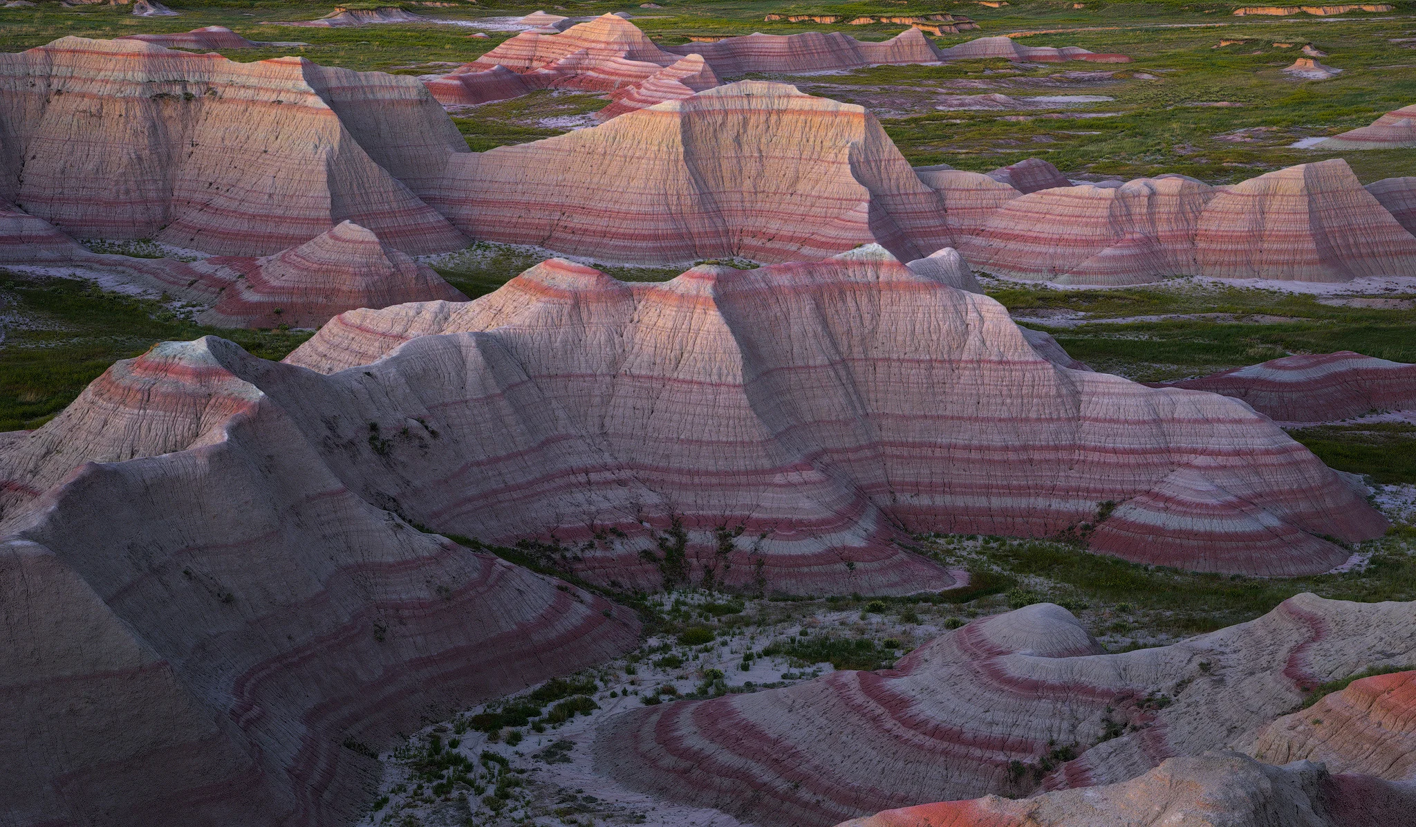 Painted Prairie