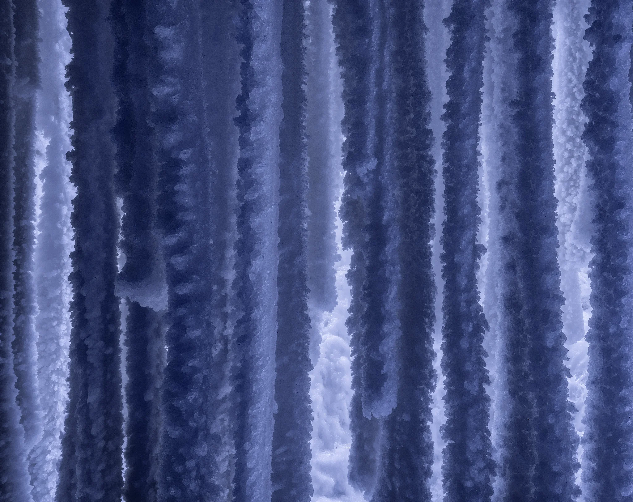 Dendrites