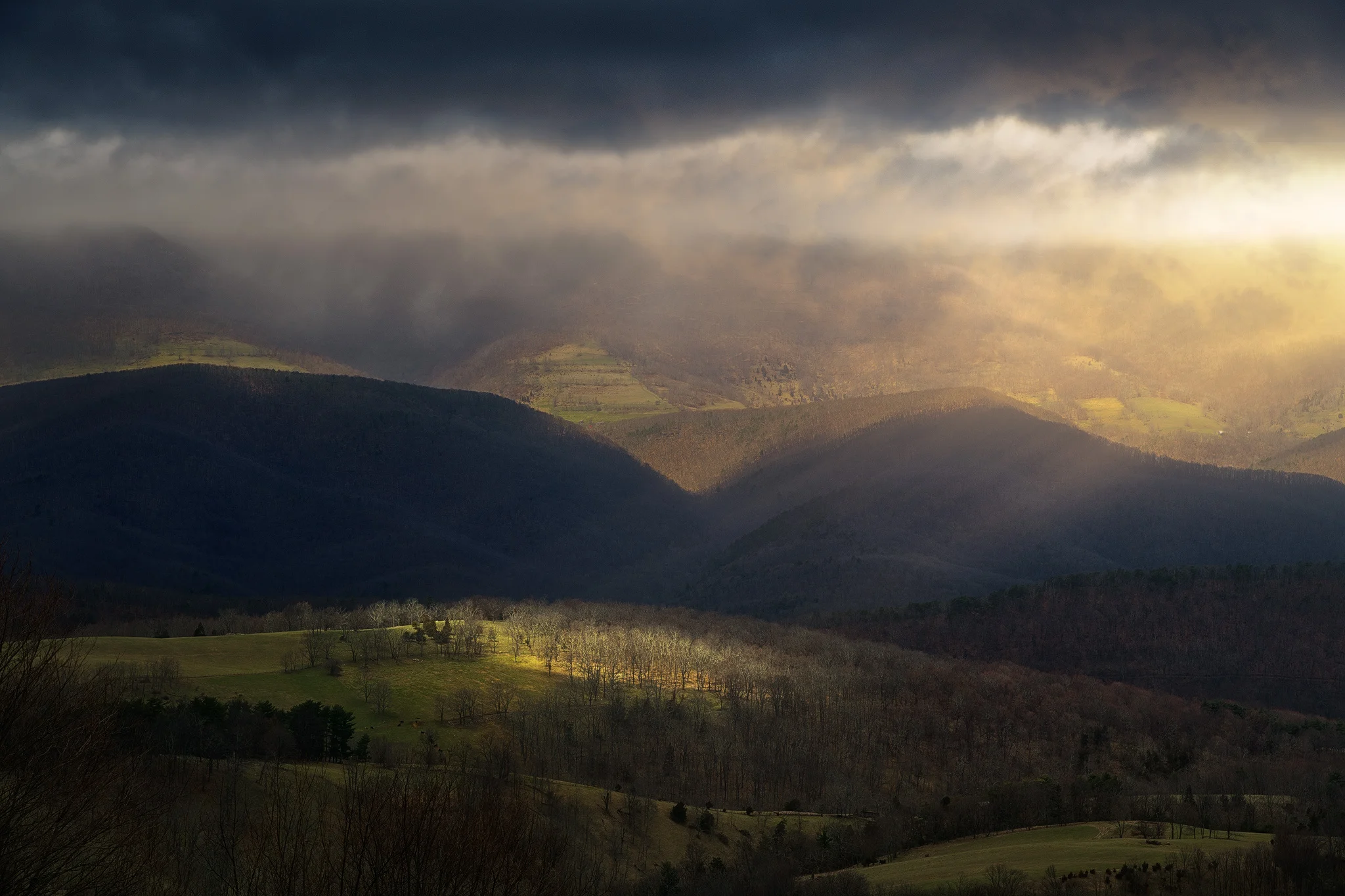 The Clearing