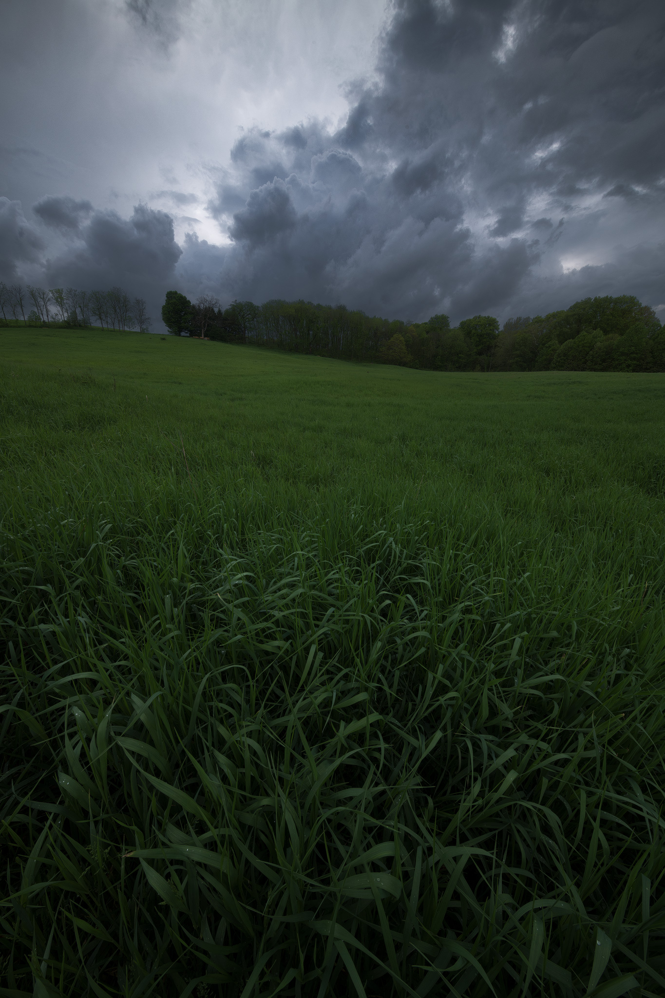 Stormy spring weather on a walk near my home with the family. The ultrawide 11mm perspective lends itself well to creating depth out of any repeating patterns. 