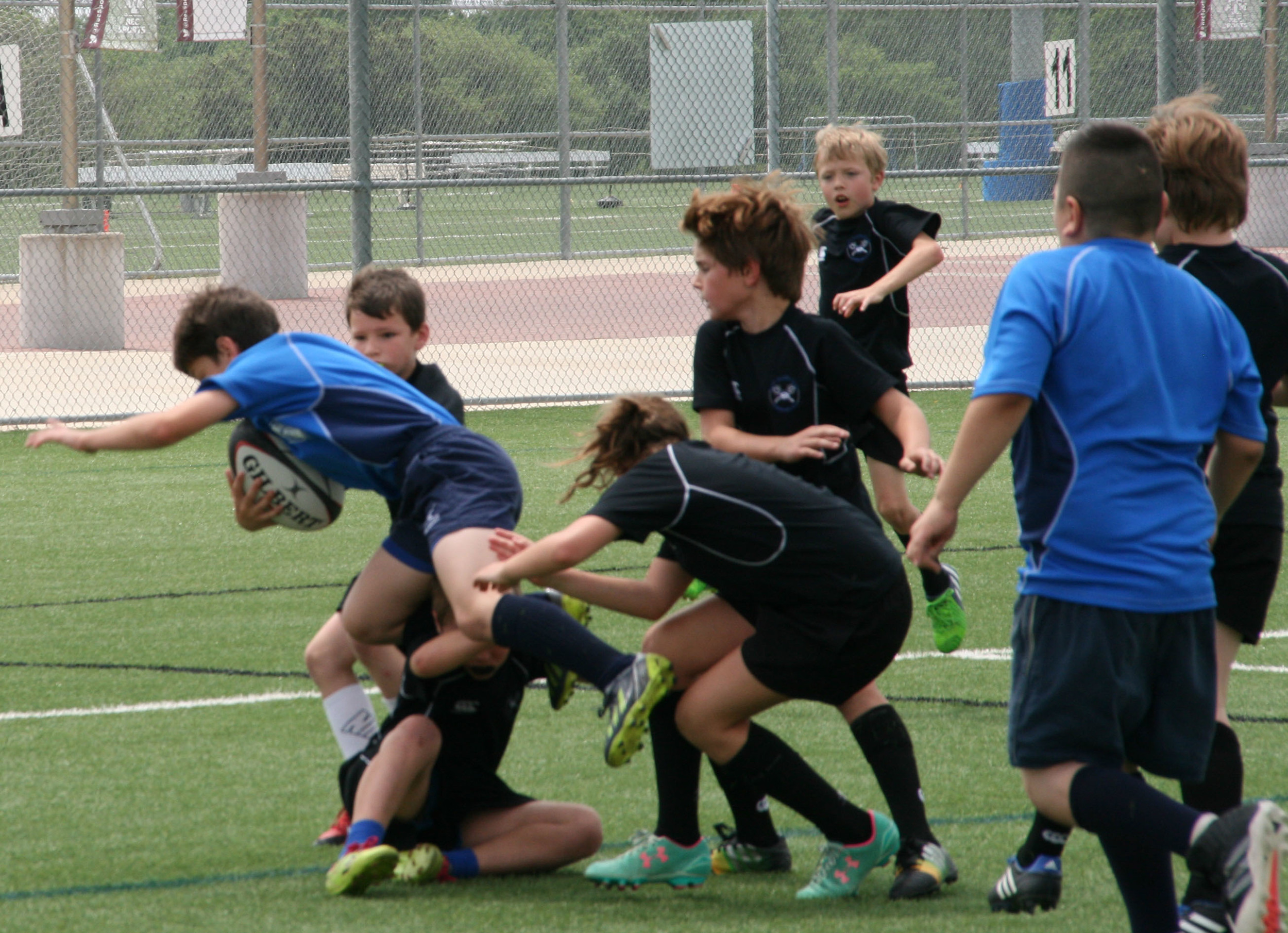 IMG_5250.JPG