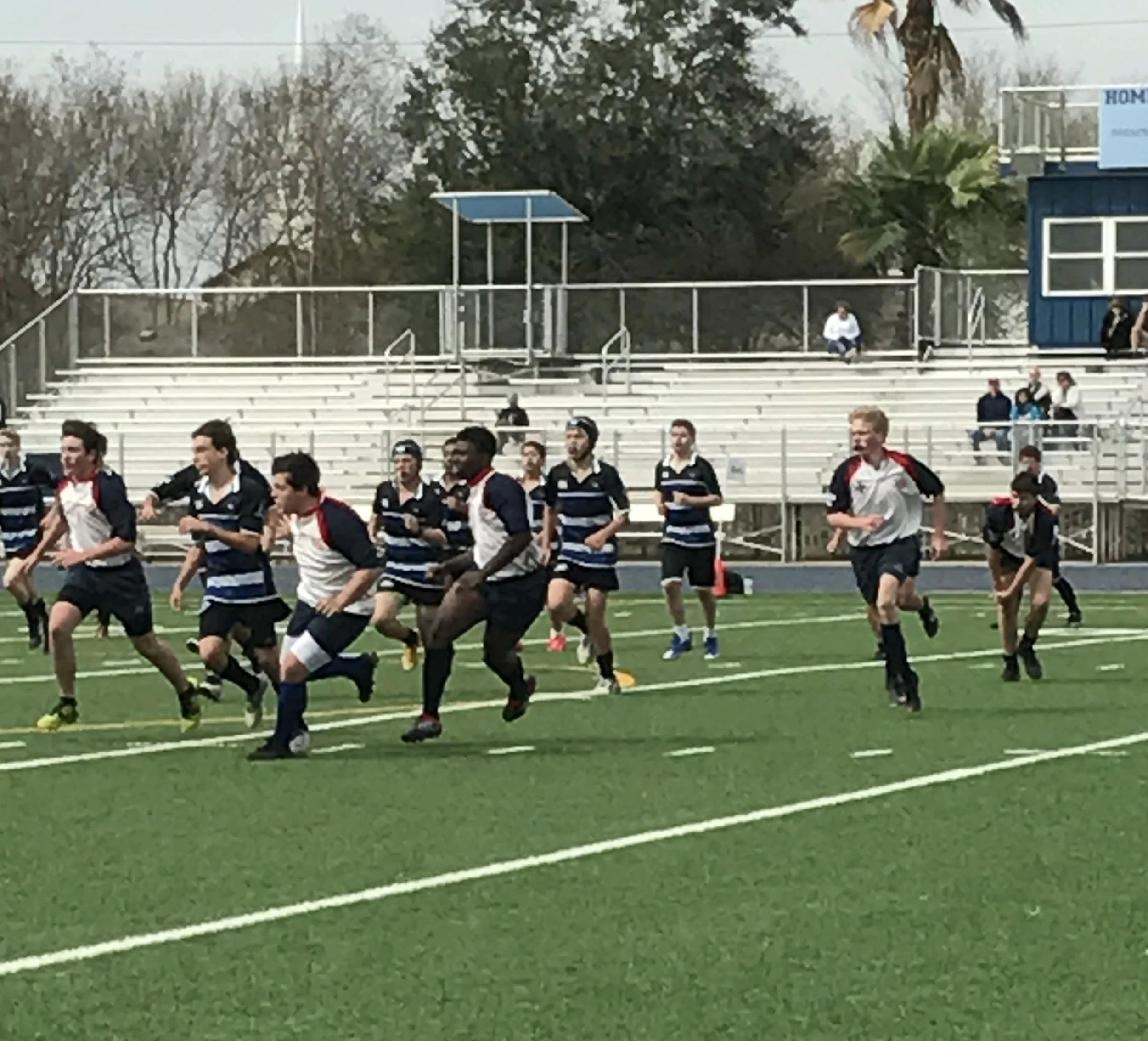 Predators in pursuit