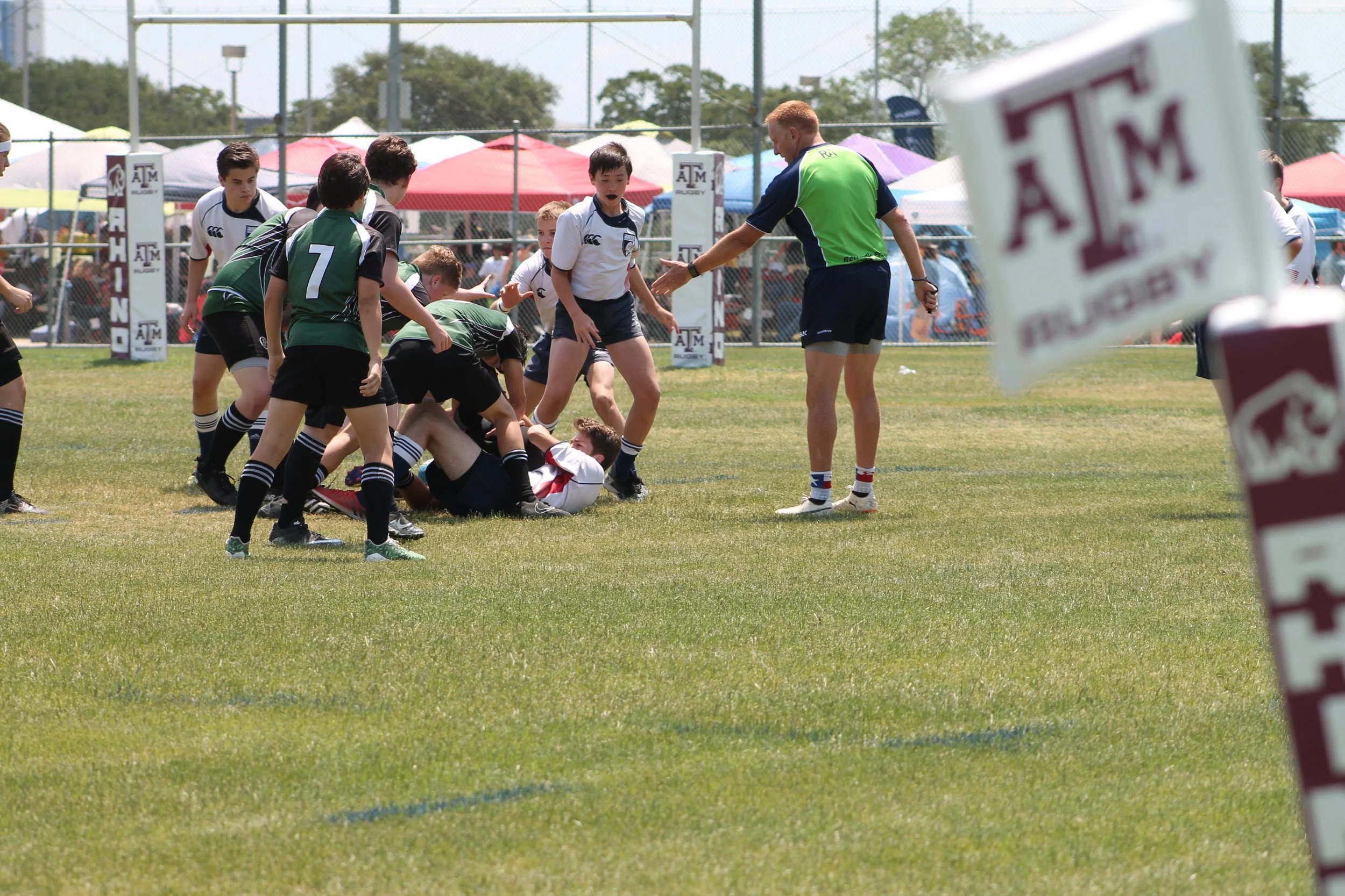 Sharon Isbell - IMG_1294.JPG