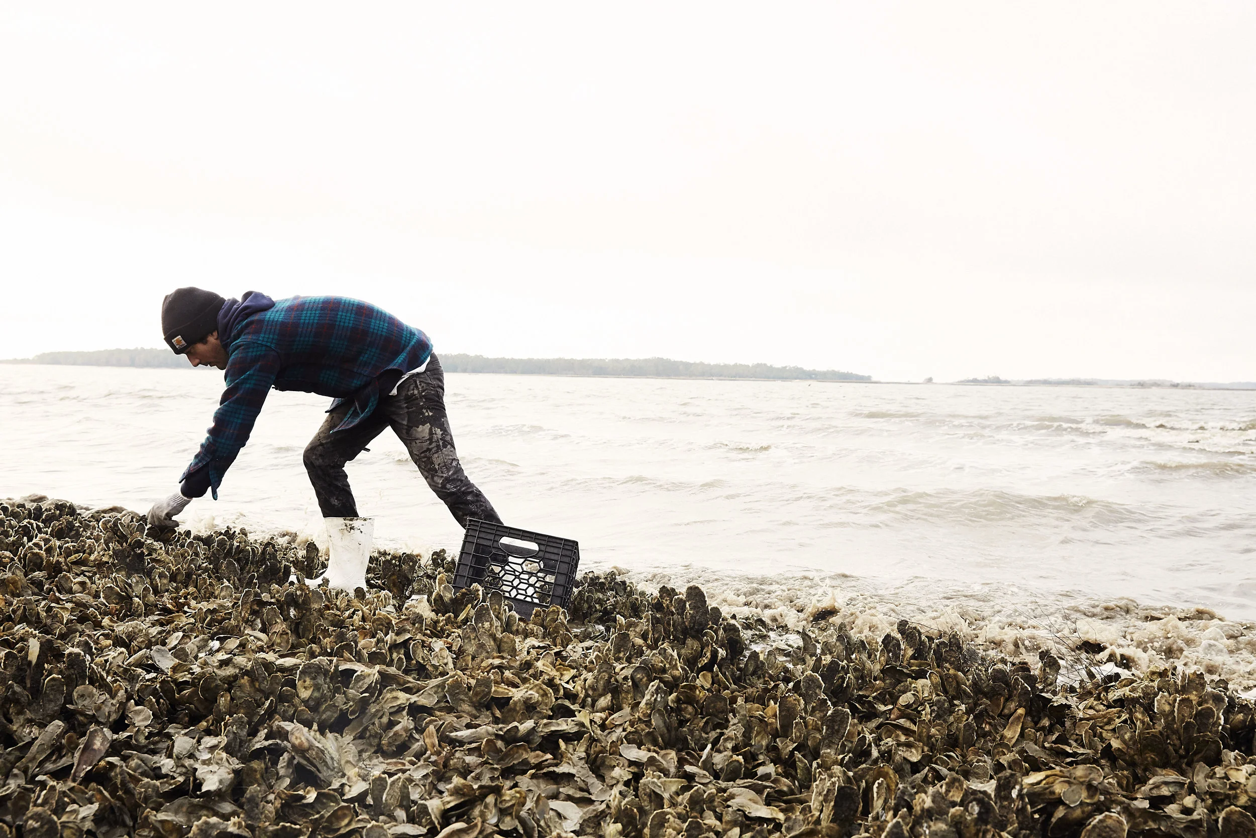 Photograph by Landon Neil Phillips . 