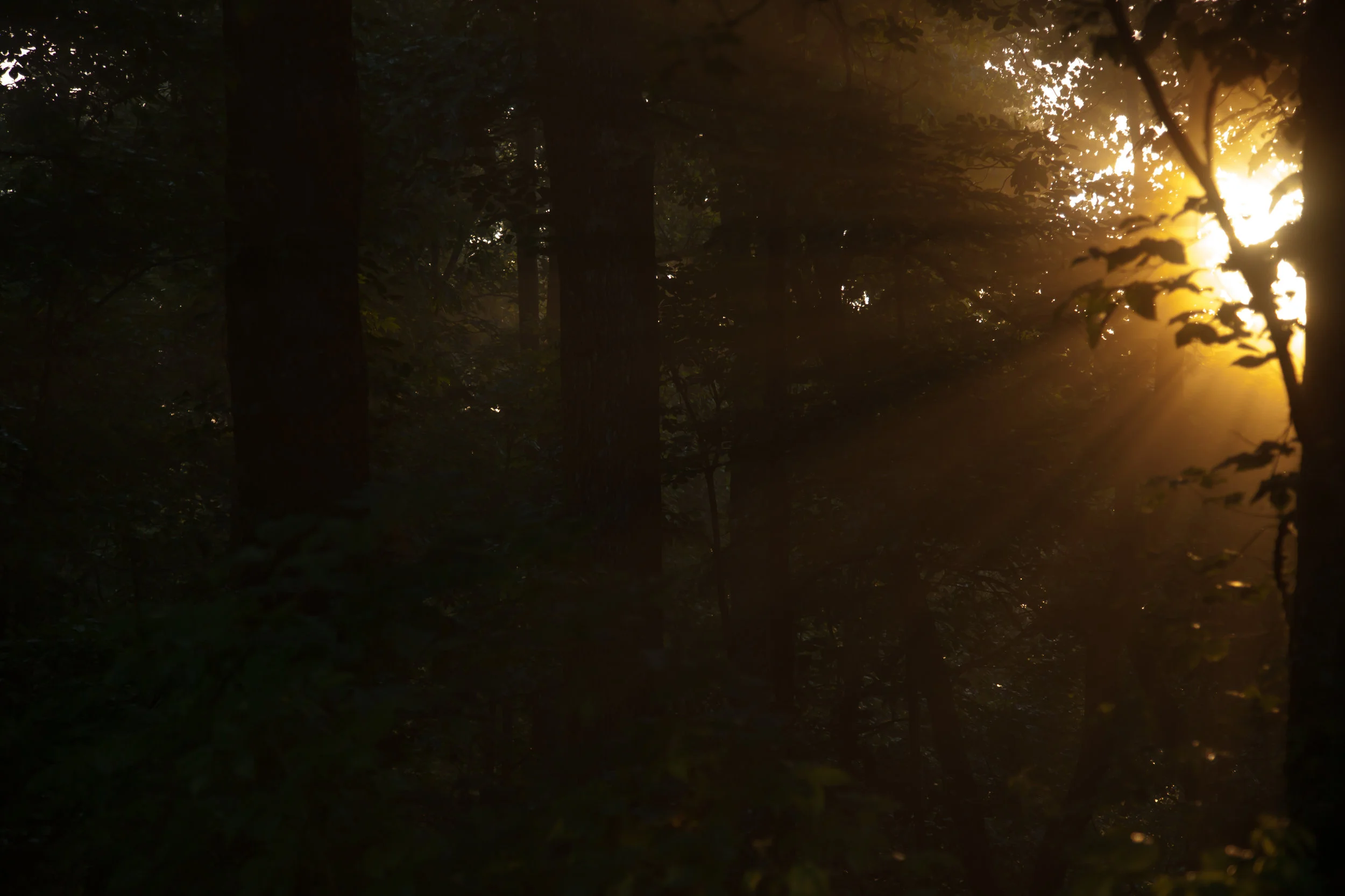 The Incarnation & Abuse (Part 2) - Vince Brackett, Michelle Hanawalt, Keziah Brackett