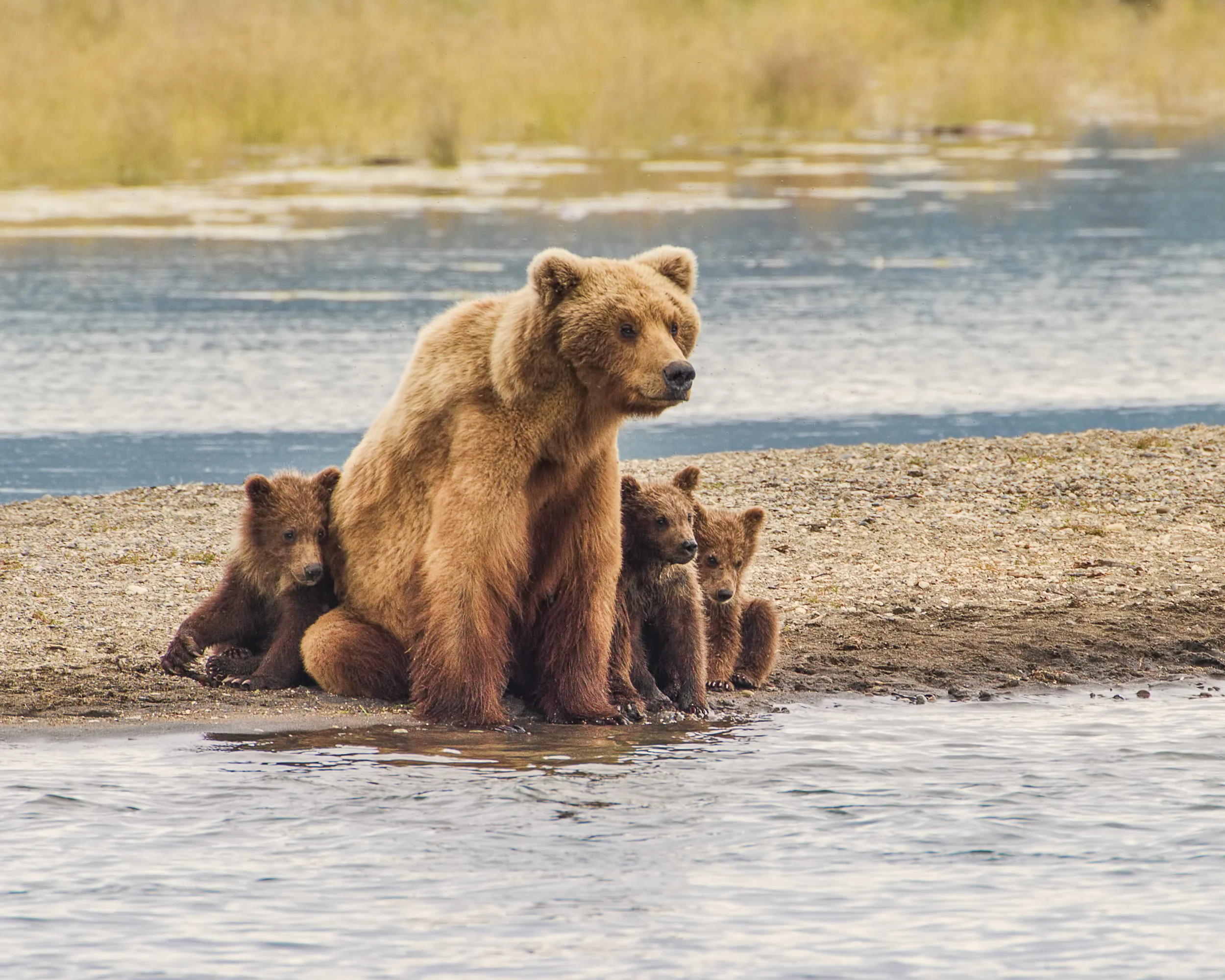 Mother's Day Reflections - Kyle Hanawalt
