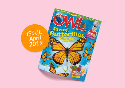 Children and kids magazine design 3