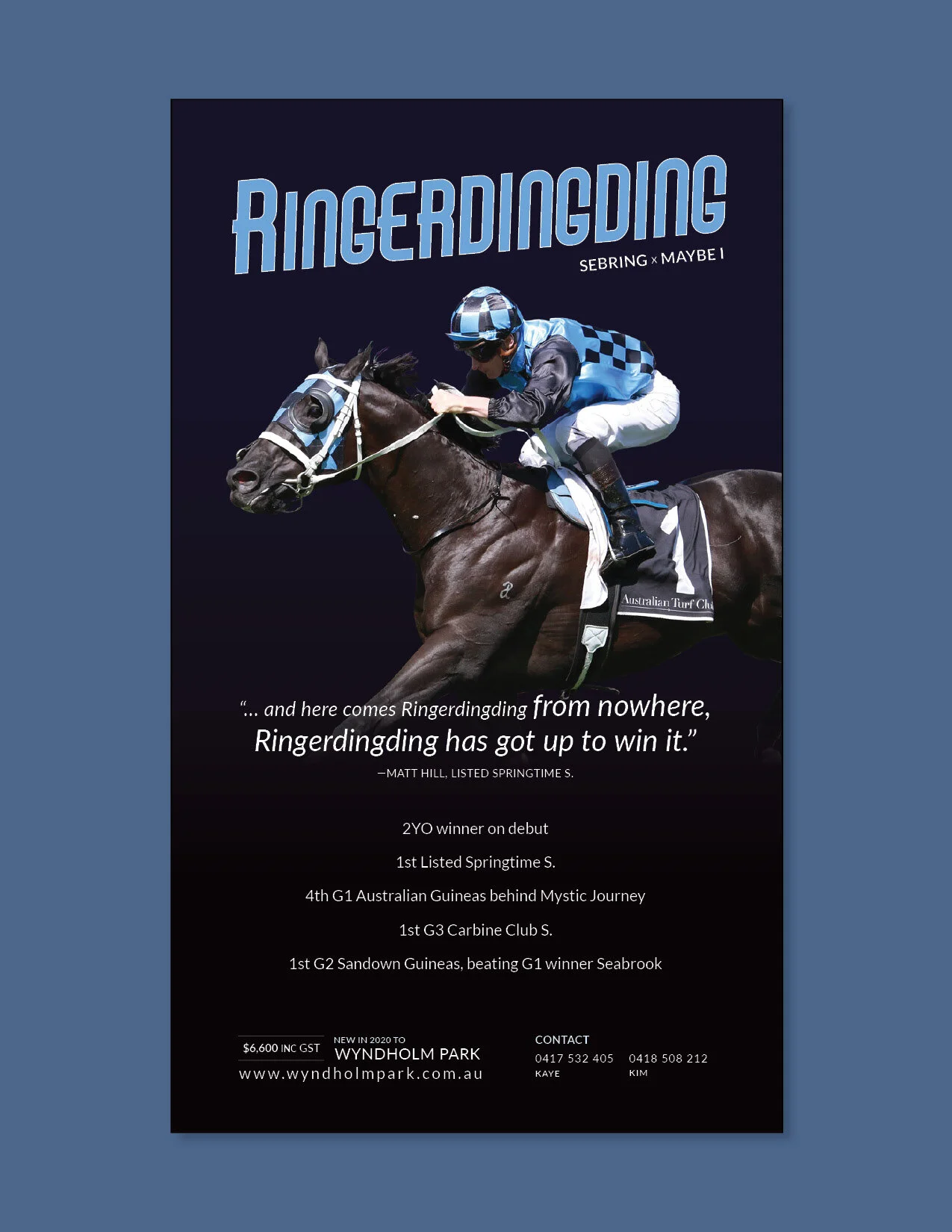 Web poster advertisement for sale of a race horse