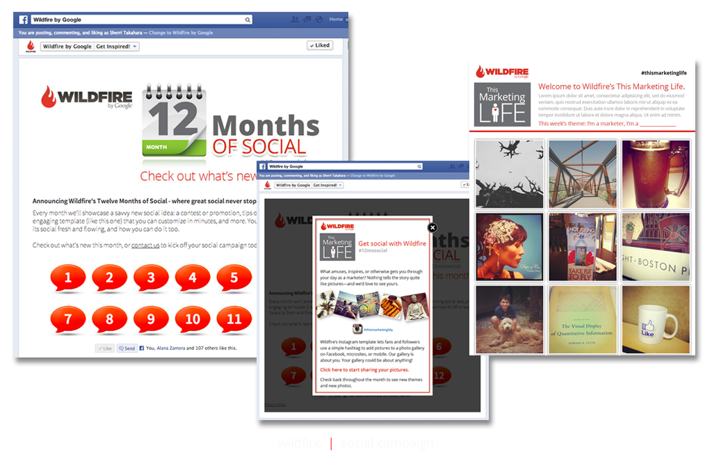 wf_online_socialcampaign.png