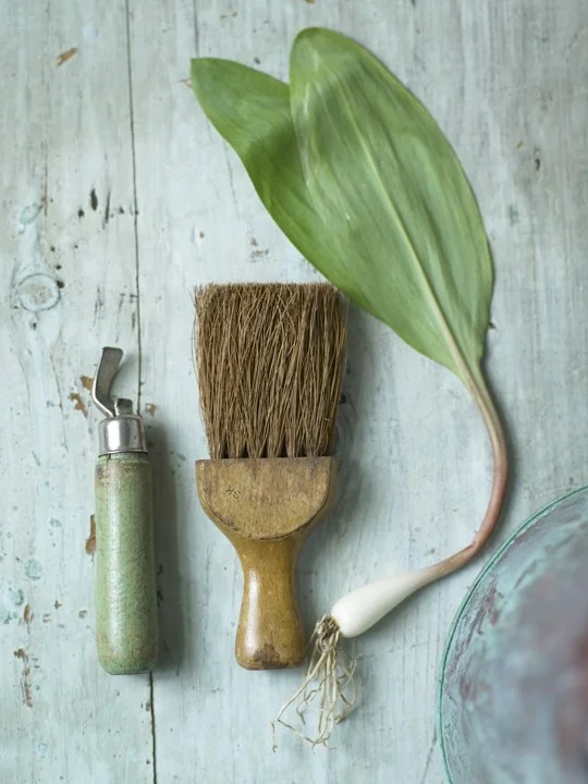 oldtools.jpg