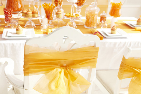 tangerine_chair_bow.jpg