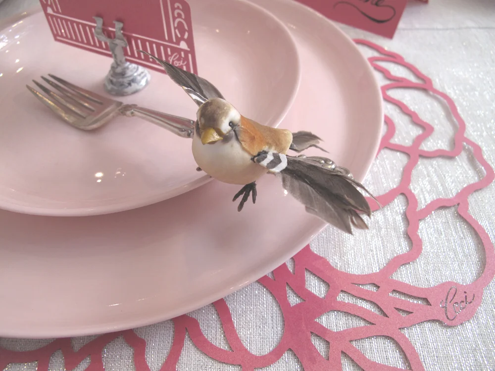 Robin_zachary_bird_closeup_lr.jpg