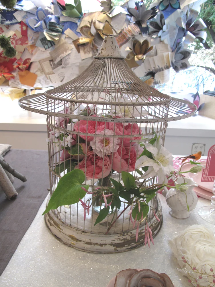 Robin_zachary_birdcage_closeup_lr.jpg