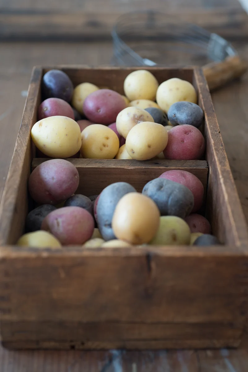 Robin_zachary_Potatoes-1962.jpg
