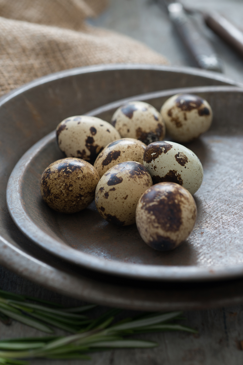 Robin_zachary_Quail_Eggs-1932.jpg
