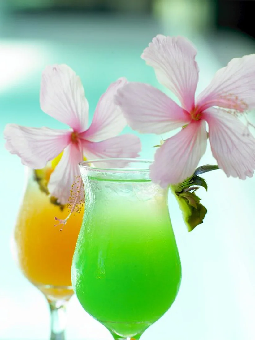 Tropicaldrinks.jpg