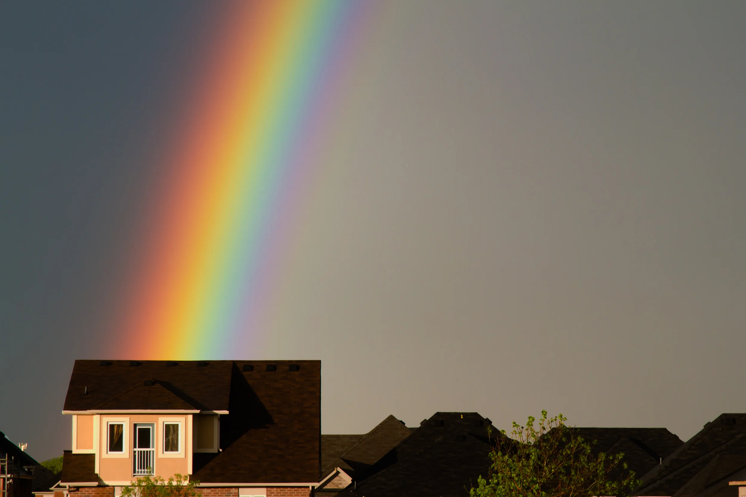 IMG_1251-Edit.jpg