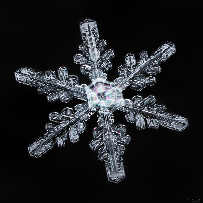 The Snowflake Guy Don Komarechka will be presenting and discussing his amazing photos like this.
