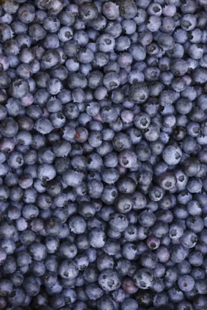 Blueberries-.jpg
