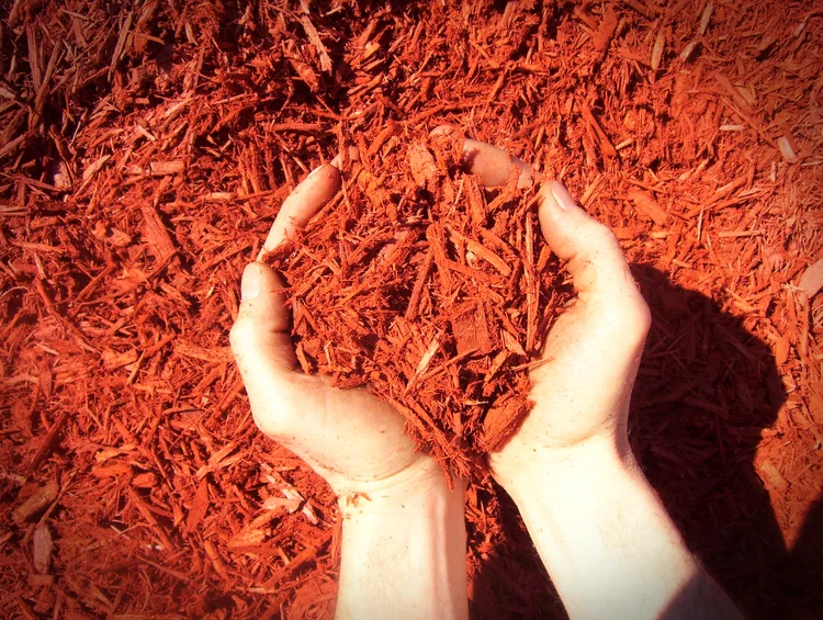 Wooster Mulches — Woodland Mulch