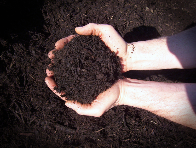 Image of Woodland Mulch Kidron around a flower bed