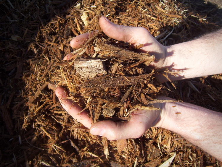 coarse ground wood mulch in wooster Ohio