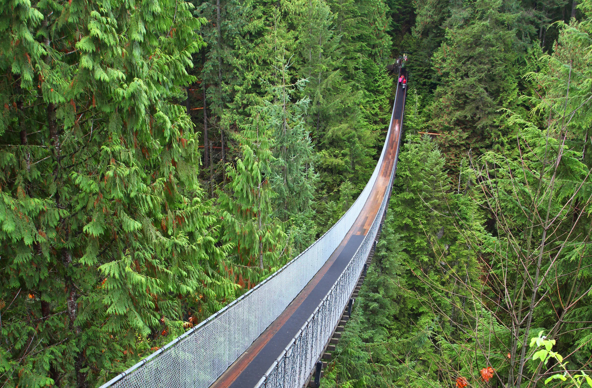 Capilano-Suspension-Bridge.jpg
